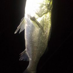 30分１本勝負です。