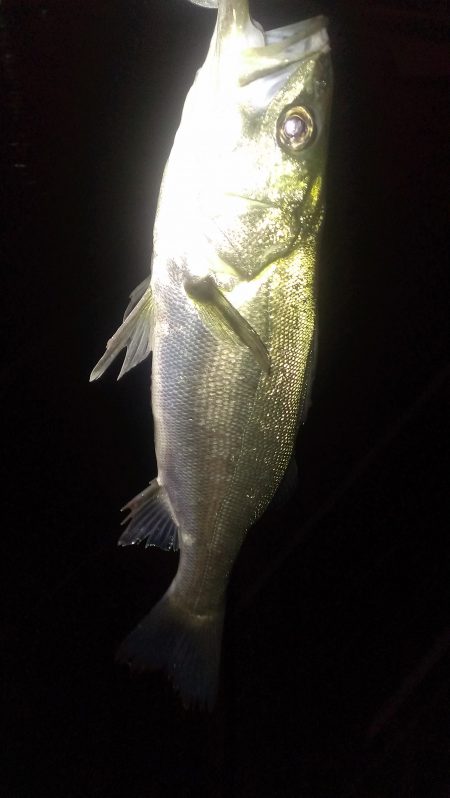 30分１本勝負です。