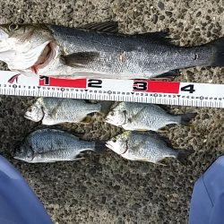 また、久し振りに。