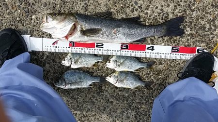 また、久し振りに。