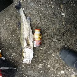 難しいです(泣)