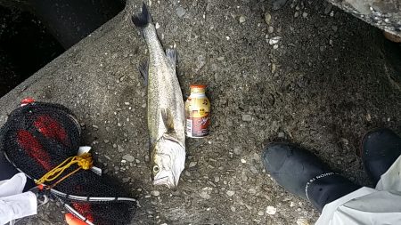 難しいです(泣)