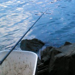 ノッコミ最盛期！？