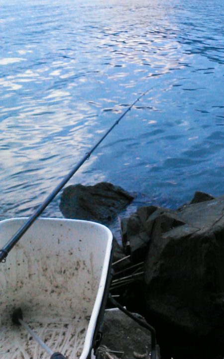 ノッコミ最盛期！？