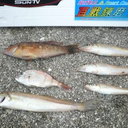 雨の志筑でキス狙い