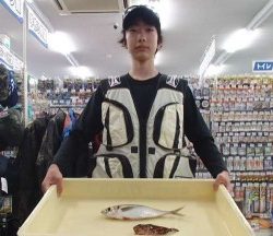 投げ釣り