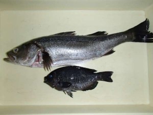 仕事終わりに。