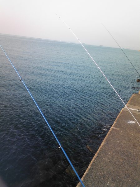 派手に竿を動かしたのは、キビレ４２㎝