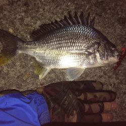 チニングのポイント開拓