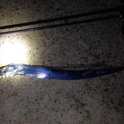 まだまだ太刀魚