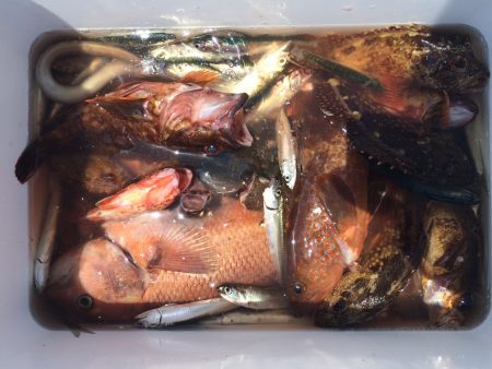 10目達成！大漁御礼