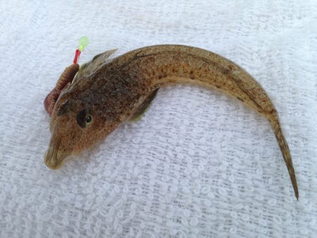 ピリッとしない