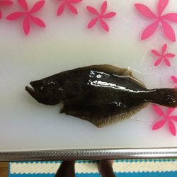 泉南周辺でメバリング