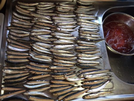 サビキイワシ♪