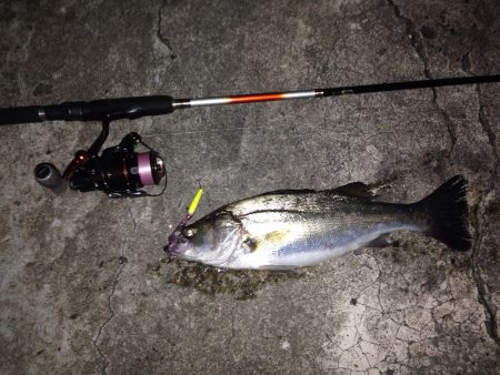 1日で大違い…>_<…