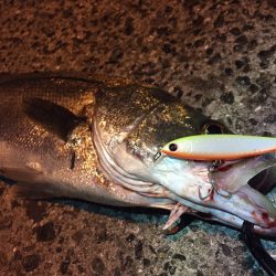 フラペン縛り♪