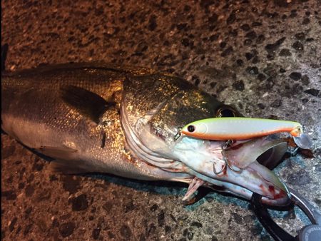 フラペン縛り♪