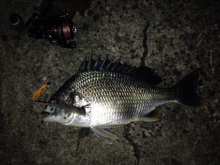 チニング〜*\\(^o^)/*