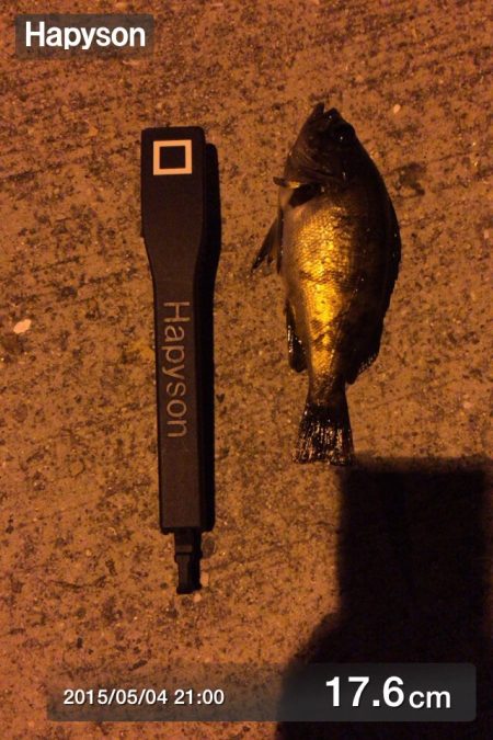 久々に手ごたえを感じたメバリング