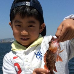 ガシラとハオコゼ