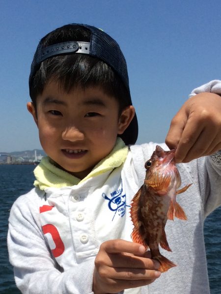 ガシラとハオコゼ