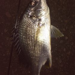 やっぱりGW明けは渋い⁉︎