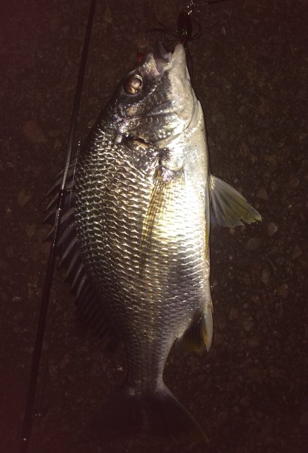 やっぱりGW明けは渋い⁉︎