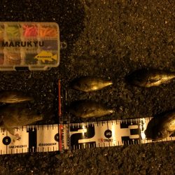 なかなか楽しいメバリング