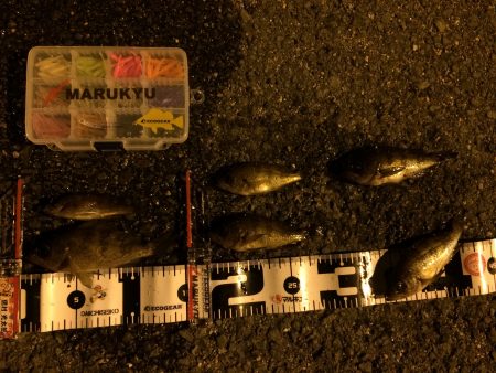 なかなか楽しいメバリング