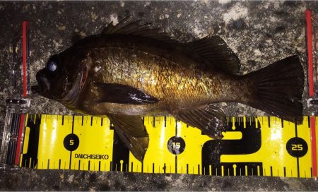 フロートメバリング