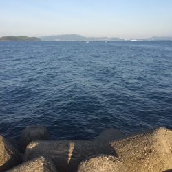 風が止んだ一瞬のワンチャンス♪