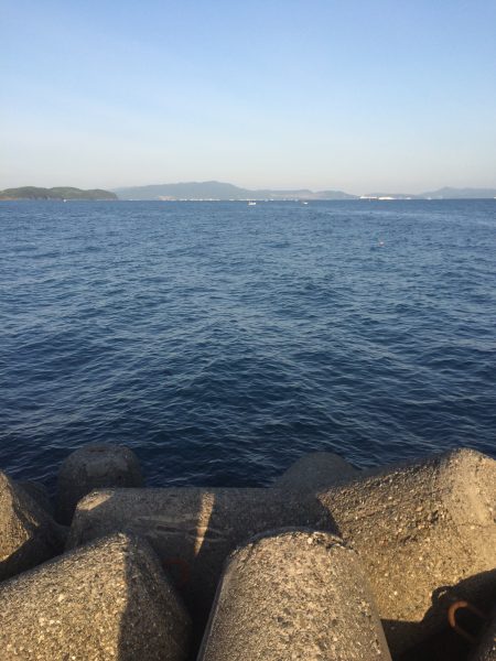 風が止んだ一瞬のワンチャンス♪