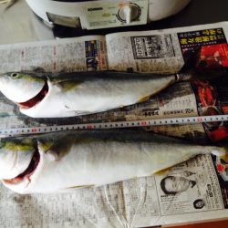 ショアプラッキング