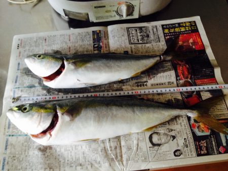 ショアプラッキング