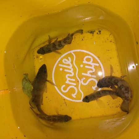 林崎漁港メバル情報