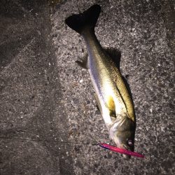 バチパターン短時間勝負