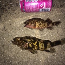 大人なたけのこ