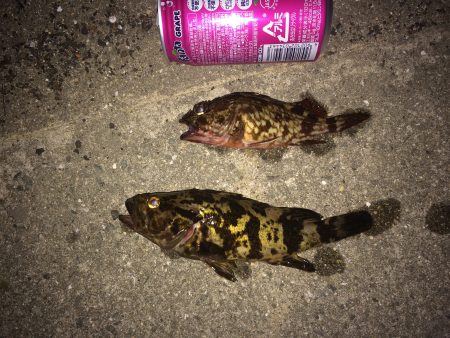 大人なたけのこ