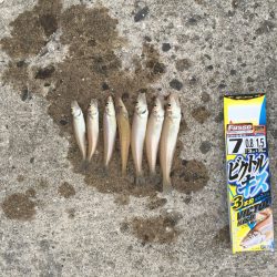 キスシーズン開幕