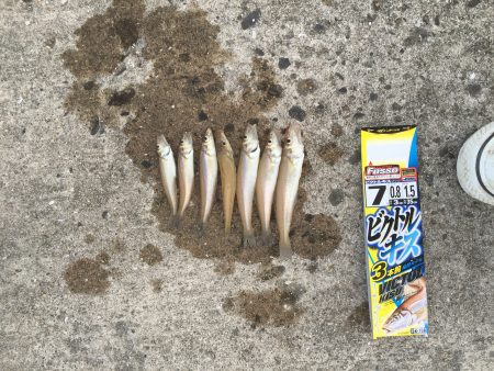 キスシーズン開幕