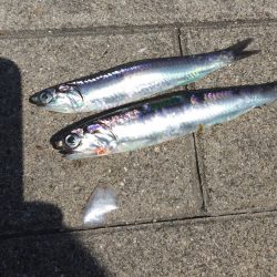 心地よい陽射しの中で