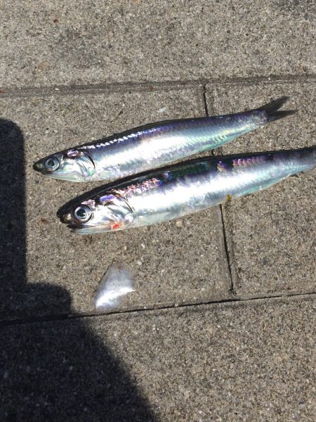 心地よい陽射しの中で