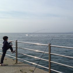 今日もアジュール舞子