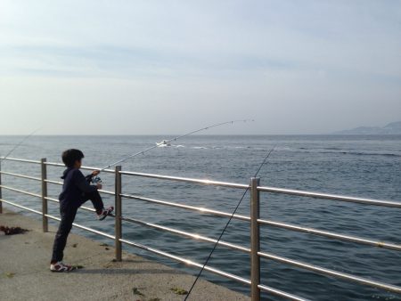 今日もアジュール舞子