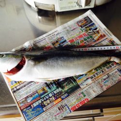 ショアプラッキング