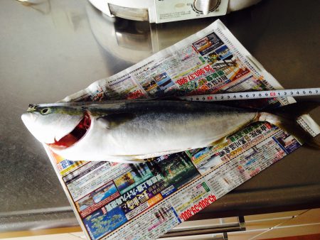 ショアプラッキング