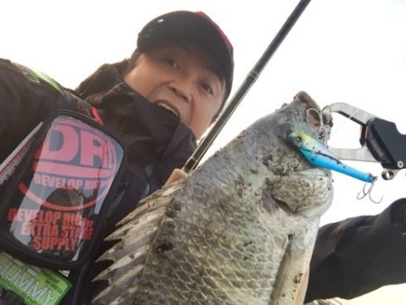 ドレパンEVOシーバス　その2