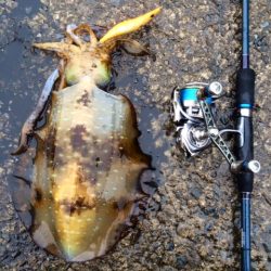 ようやく春がきました♪♪♪