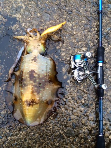 ようやく春がきました♪♪♪