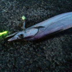 うーん、数が出ない。。。